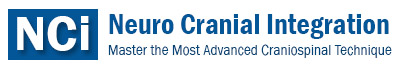 neurocranialintegration.com logo